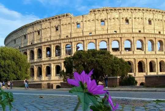 The Colosseum, Rome
